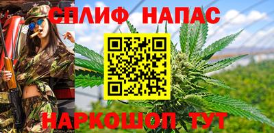 гидра Краснокаменск