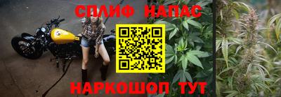 гидра Краснокаменск