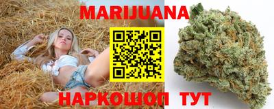 гидра Краснокаменск