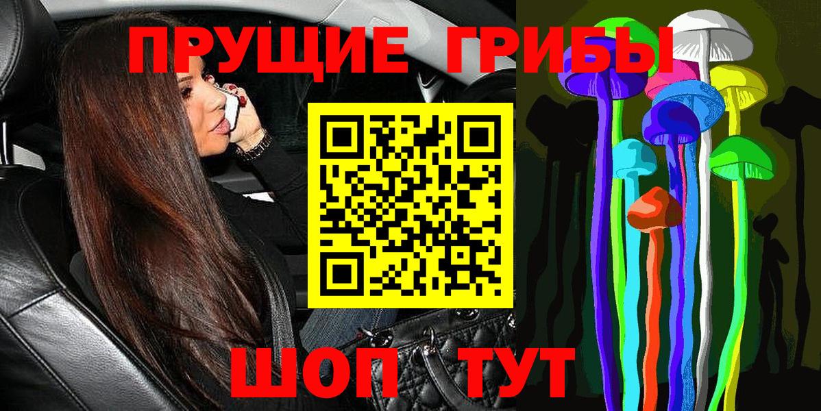 Псилоцибиновые грибы Psilocybe  Вход с VPN  Кашира 